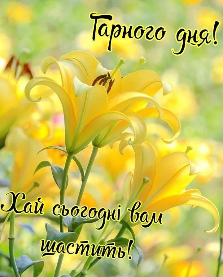 Картинка гарного дня, серце для закоханих