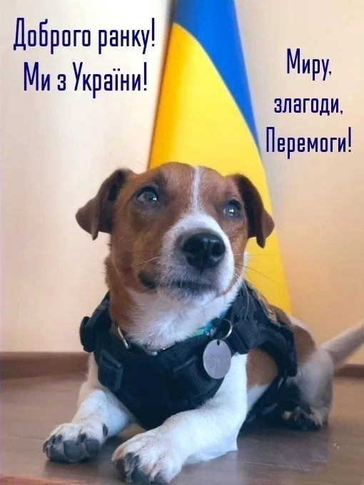 Побажання гарного дня