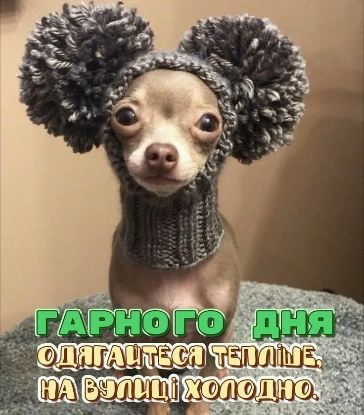 Побажання гарного дня