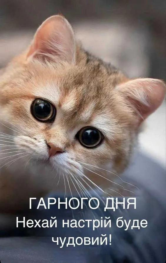 Побажання гарного дня