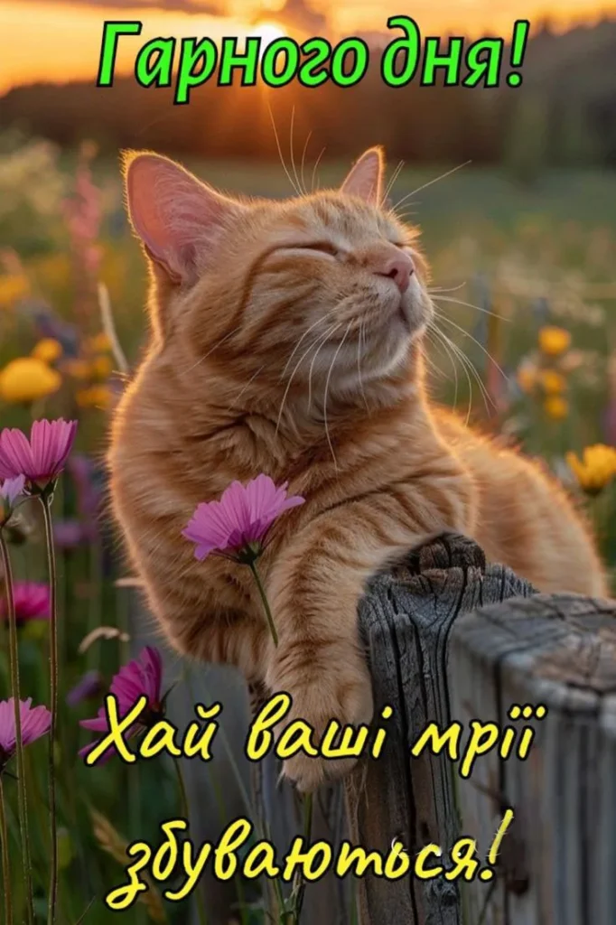 з добрим ранком