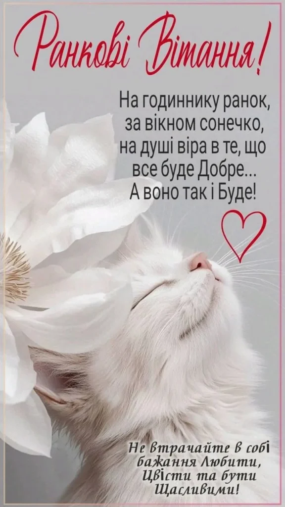 Гарного ранку та миру в душі