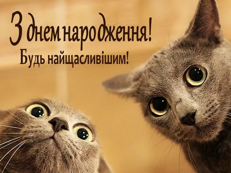 Смішна листівка для друга