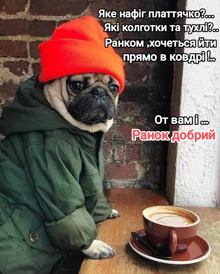 Кумедна картинка доброго ранку