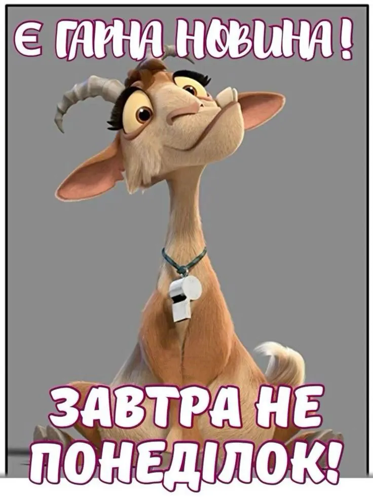 Прикольний початок нового дня