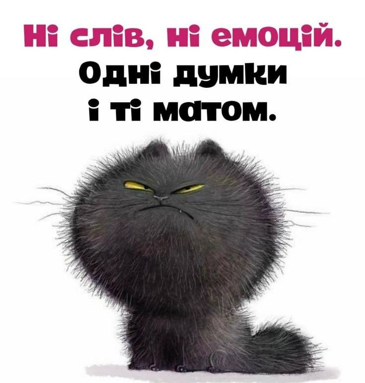 Весела картинка для ранкового привітання