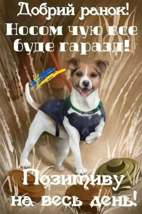 Веселий ранок для друзів