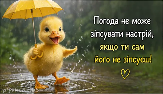 Ранковий настрій на максимум